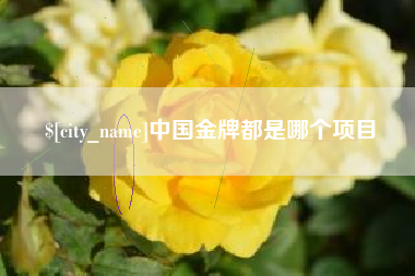 衡水中国金牌都是哪个项目