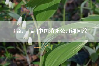 衡水中国消防公开课回放