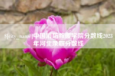 衡水中国消防救援学院分数线2023年河北录取分数线
