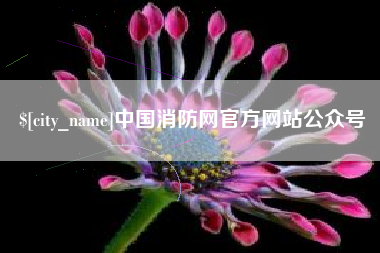 衡水中国消防网官方网站公众号