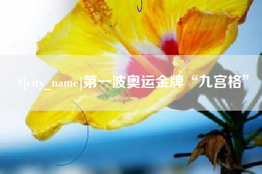 衡水第一波奥运金牌“九宫格”