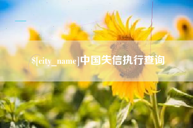 衡水中国失信执行查询