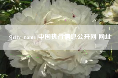 衡水中国执行信息公开网 网址