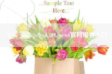 衡水xfhyjd.119.gov cn官网报名入口