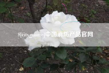 衡水中国消防产品官网