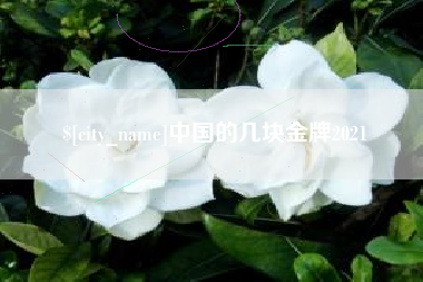 衡水中国的几块金牌2021