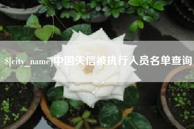 衡水中国失信被执行人员名单查询