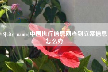 衡水中国执行信息网查到立案信息怎么办