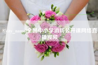 衡水全国中小学消防公开课网络直播视频