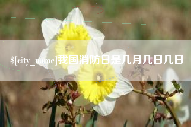 衡水我国消防日是几月几日几日