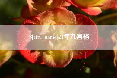 衡水21年九宫格
