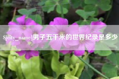 衡水男子五千米的世界纪录是多少
