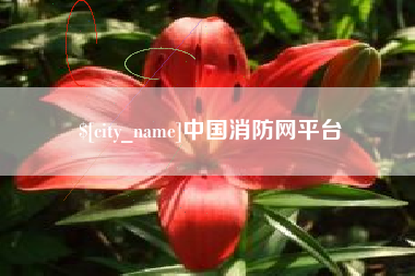 衡水中国消防网平台