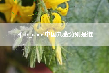 衡水中国九金分别是谁