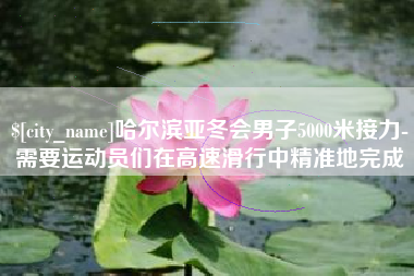 衡水哈尔滨亚冬会男子5000米接力-需要运动员们在高速滑行中精准地完成