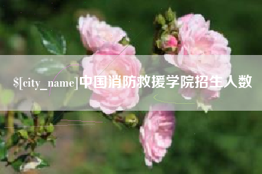 衡水中国消防救援学院招生人数