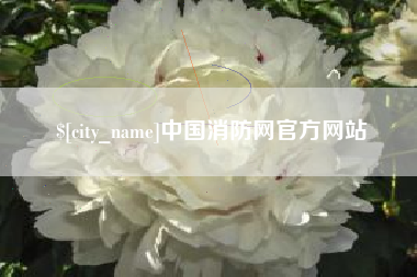 衡水中国消防网官方网站