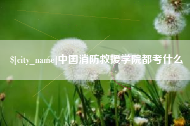 衡水中国消防救援学院都考什么