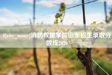 衡水消防救援学院山东招生录取分数线2020