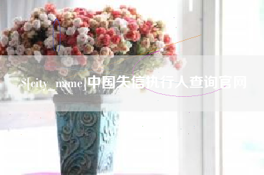 衡水中国失信执行人查询官网