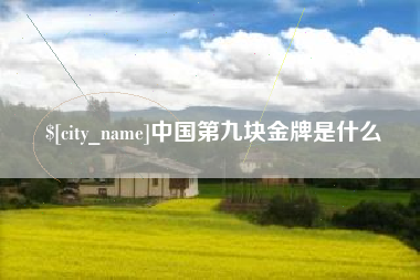 衡水中国第九块金牌是什么
