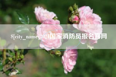 衡水2021国家消防员报名官网