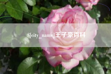 衡水王子豪百科