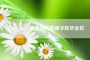 衡水中国消防救援学院毕业后