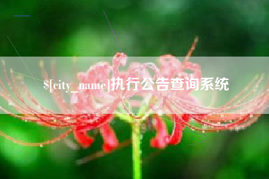 衡水执行公告查询系统