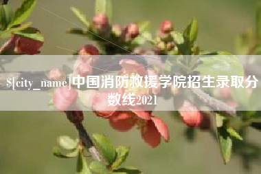 衡水中国消防救援学院招生录取分数线2021