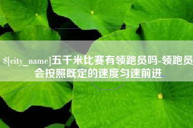 衡水五千米比赛有领跑员吗-领跑员会按照既定的速度匀速前进
