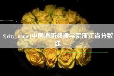 衡水中国消防救援学院浙江省分数线