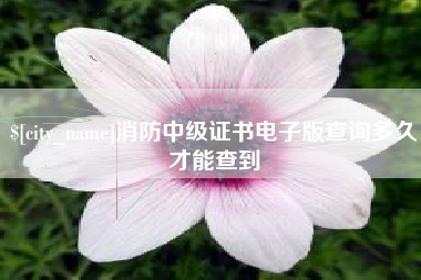 衡水消防中级证书电子版查询多久才能查到