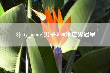 衡水男子5000米世界冠军