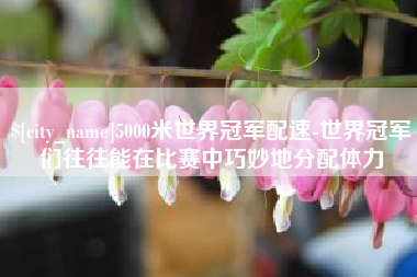 衡水5000米世界冠军配速-世界冠军们往往能在比赛中巧妙地分配体力