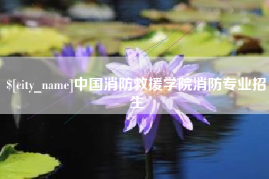 衡水中国消防救援学院消防专业招生