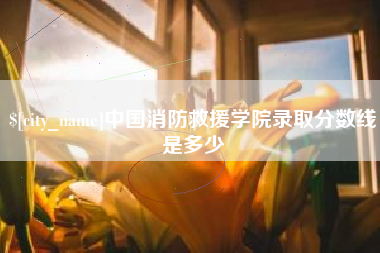 衡水中国消防救援学院录取分数线是多少