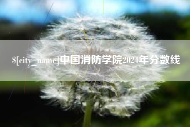 衡水中国消防学院2024年分数线