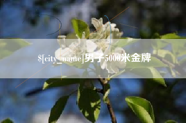 衡水男子5000米金牌