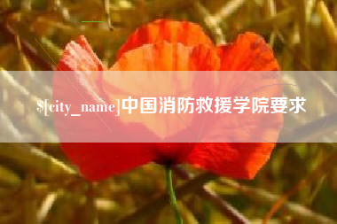 衡水中国消防救援学院要求