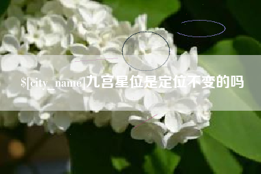 衡水九宫星位是定位不变的吗