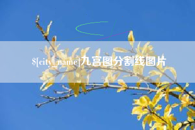 衡水九宫图分割线图片