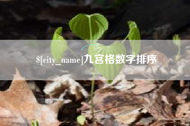 衡水九宫格数字排序