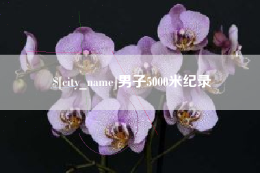 衡水男子5000米纪录