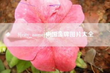 衡水中国金牌图片大全