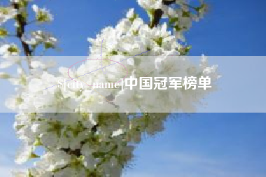 衡水中国冠军榜单