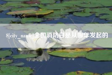 衡水全国消防日是从哪年发起的