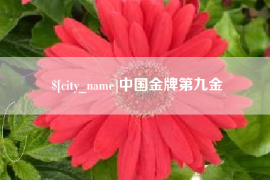 衡水中国金牌第九金