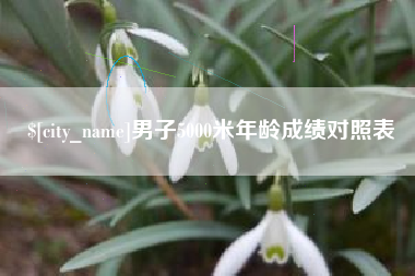 衡水男子5000米年龄成绩对照表