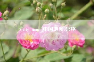 衡水中国地图9宫格